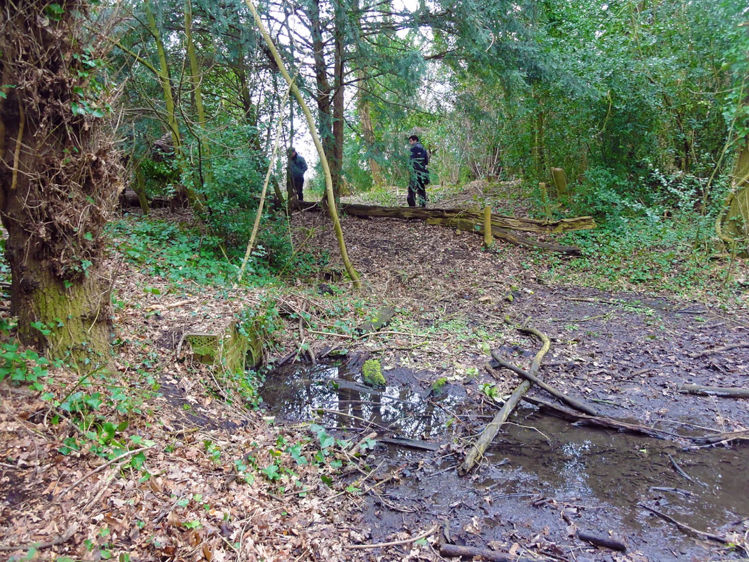 Gough Park - Proposed New Weir