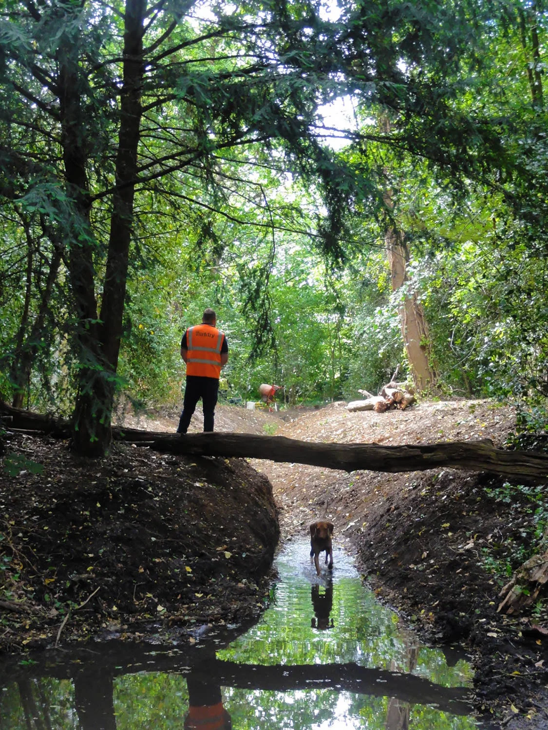 Gough Park - Completed Flood Relief Channel