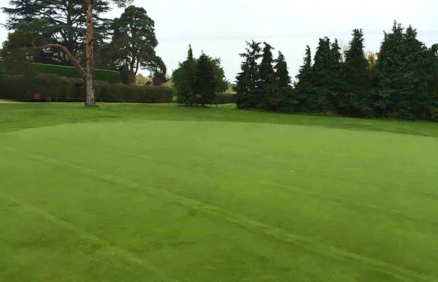 Dyrham Park Golf & Country Club - Greens Drainage