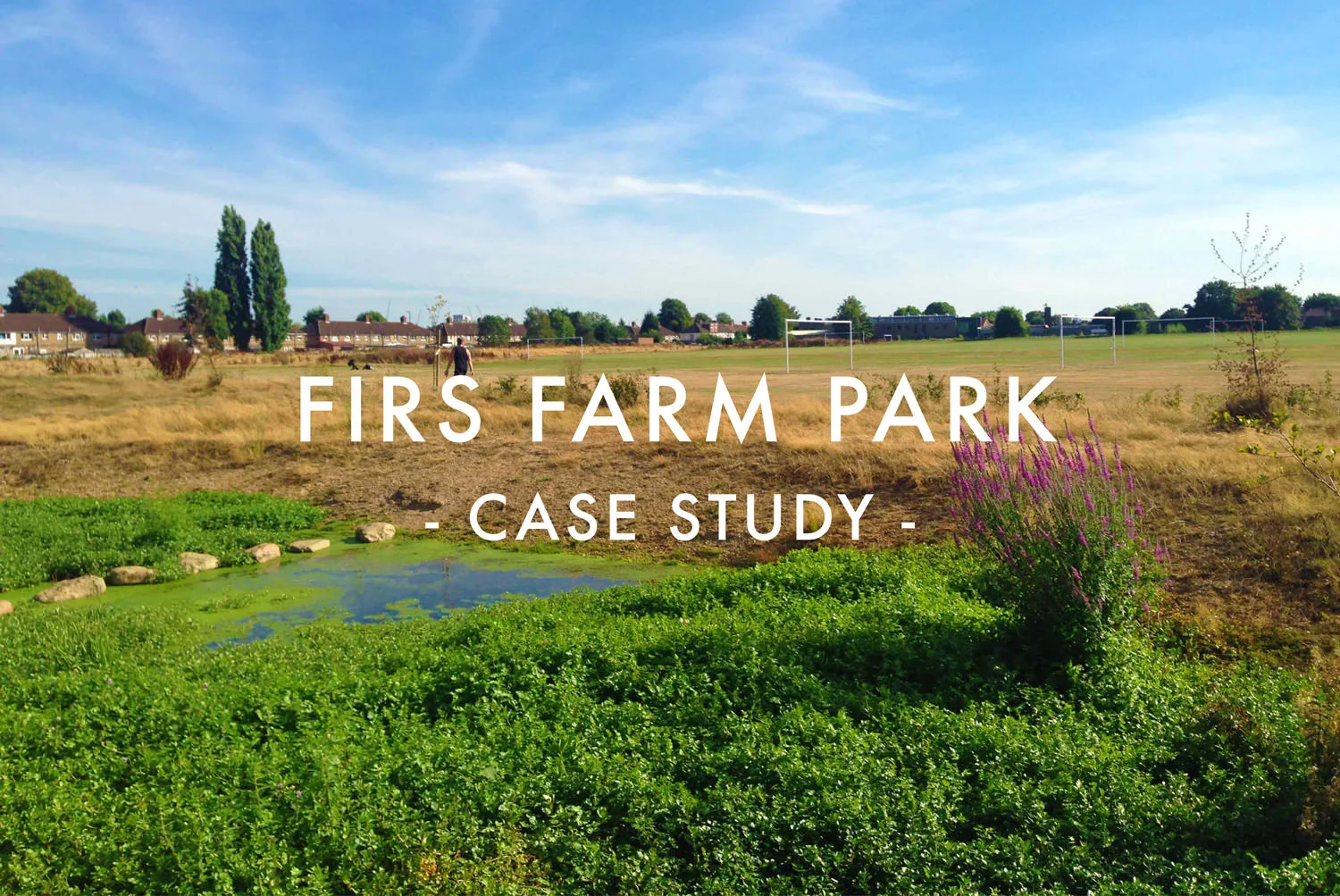 FIrs Farm Park - Wetlands Construction & River Restoration Case Study