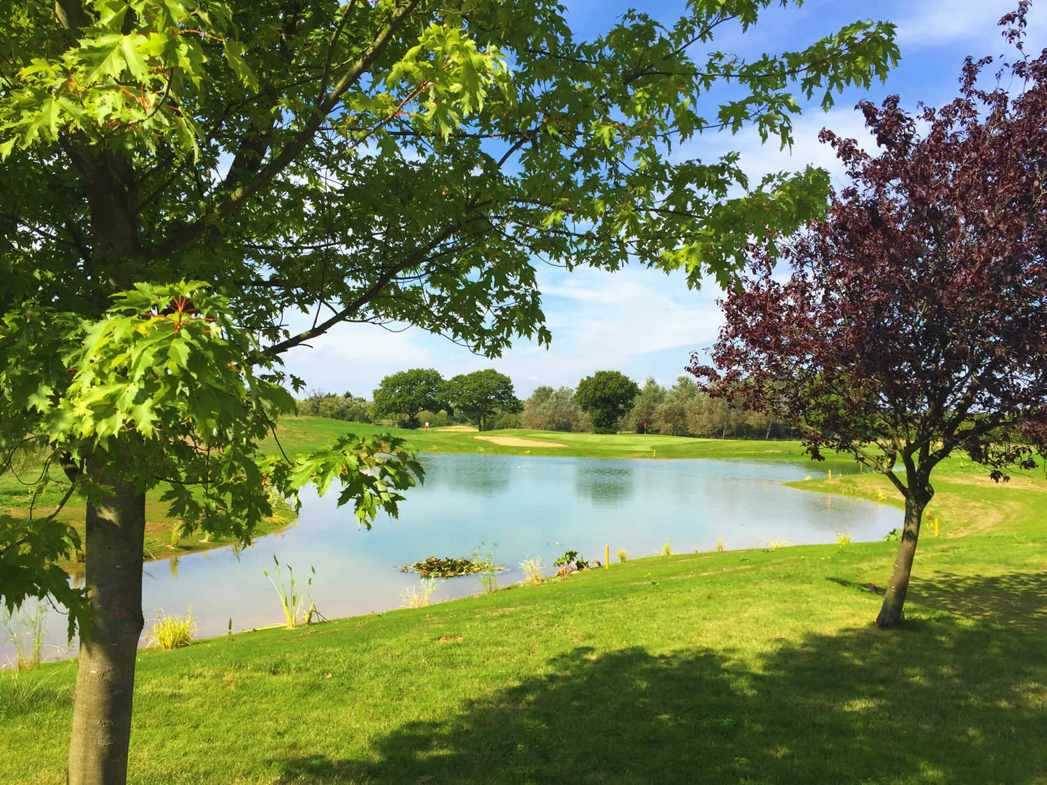 The Rayeigh Club - Pond Construction