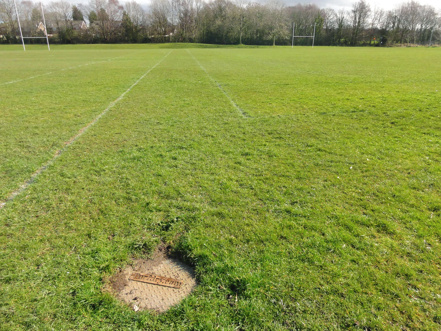 Marple RUFC - Drained Area (07/03/14)
