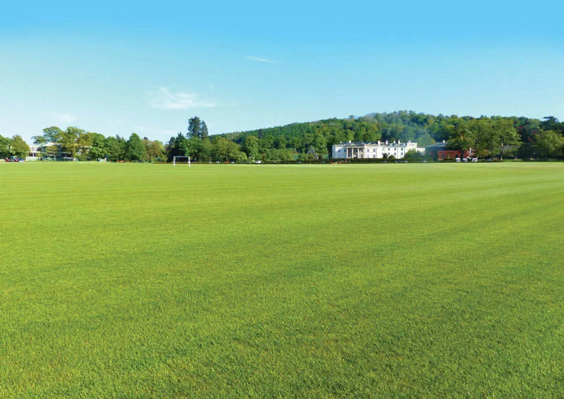Concord College