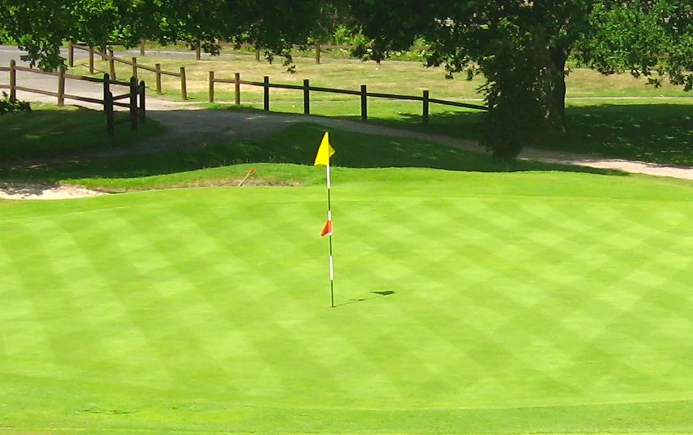 Liphook Panorama