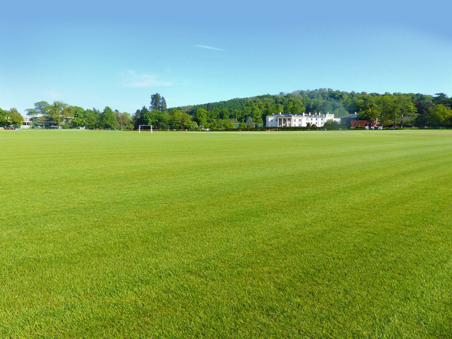 Turfdry provide natural turf construction, drainage, & irrigation services.