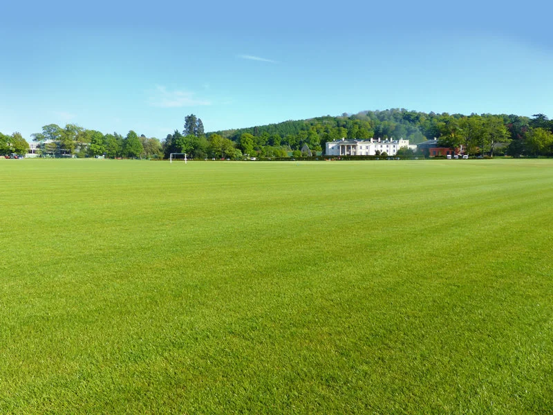 IOG Contractor of the Year Finalist Turfdry