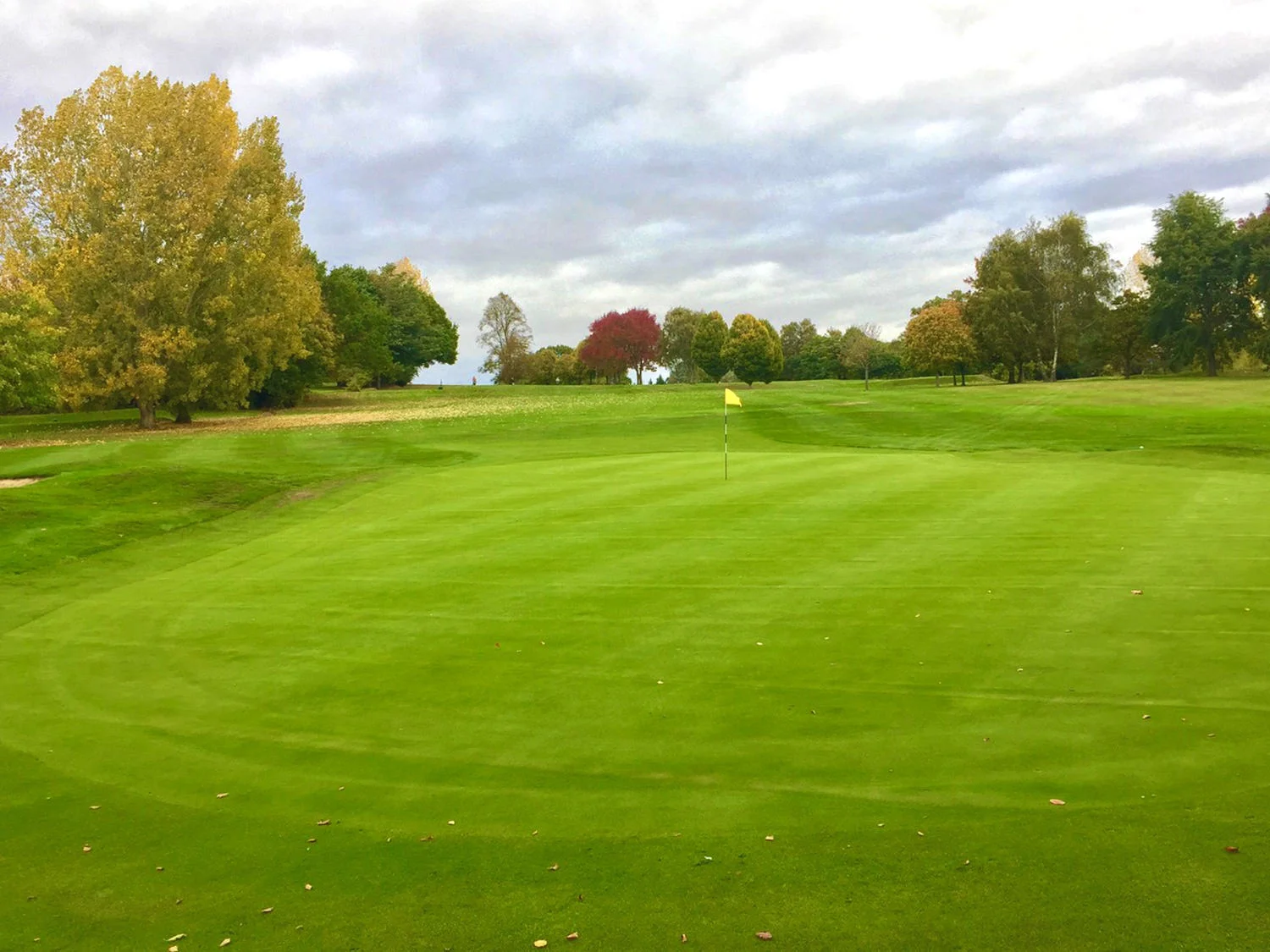 Shirley Park GC greens back in play in record time after Turfdry Drainage Systems installed by IOG 'Contractor of the Year' award finalist