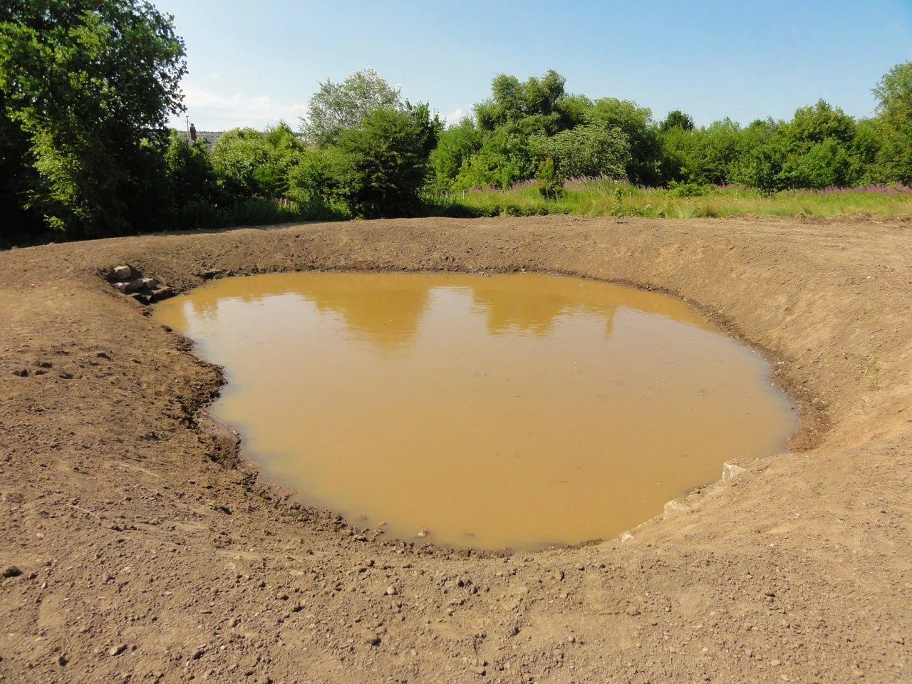 Ecological Enhancement