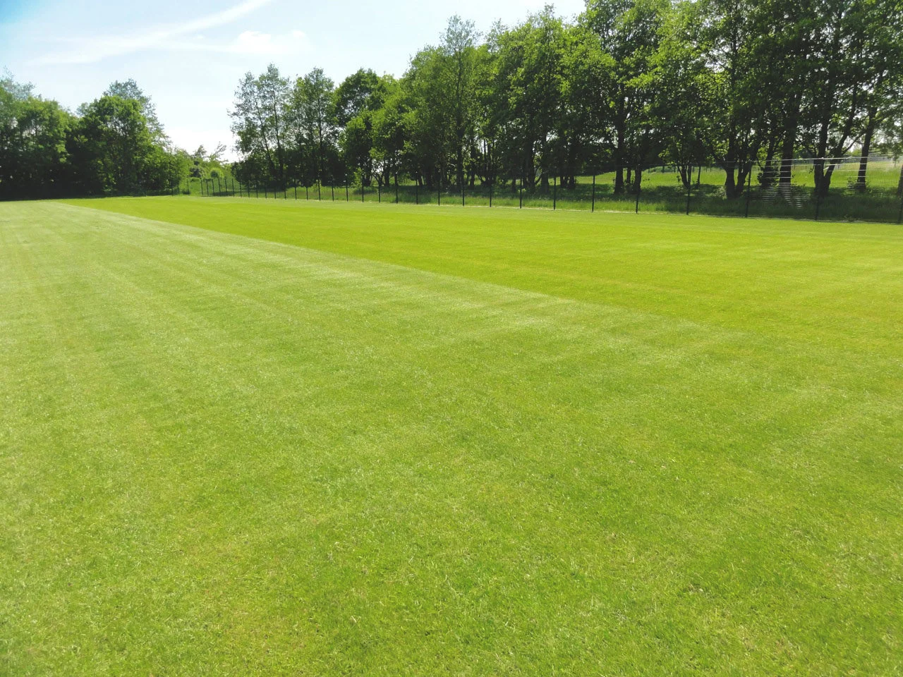 IOG Pitch Inspection