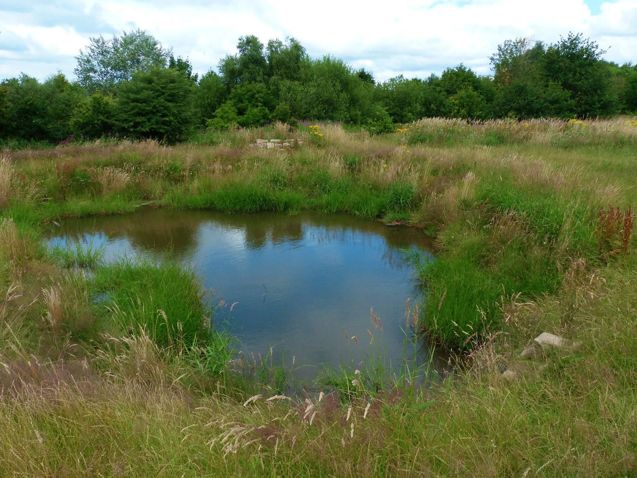 Completed Pond