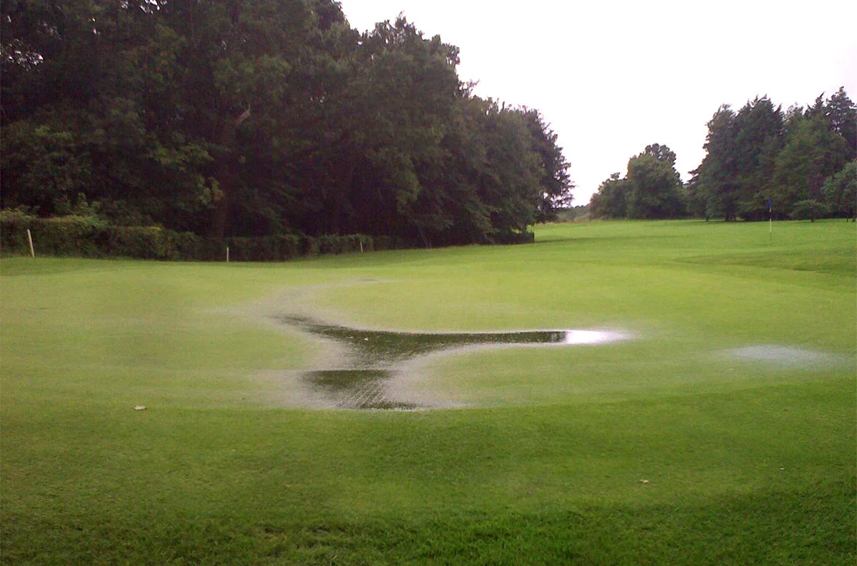 Waterlogged Green