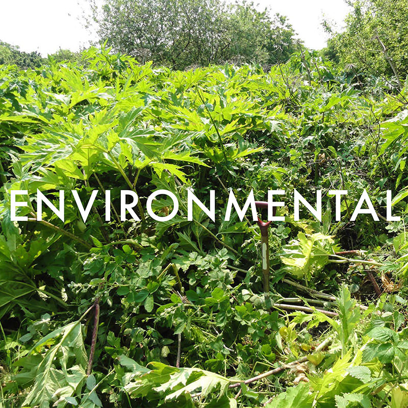 Environmental Policy