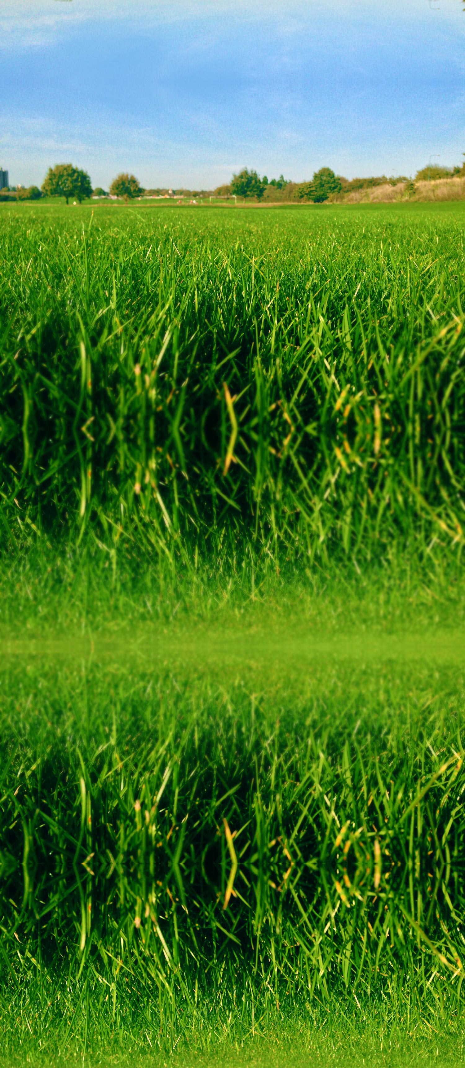 passmores_sports_pitch_drainage_construction_sward3_mini.jpg