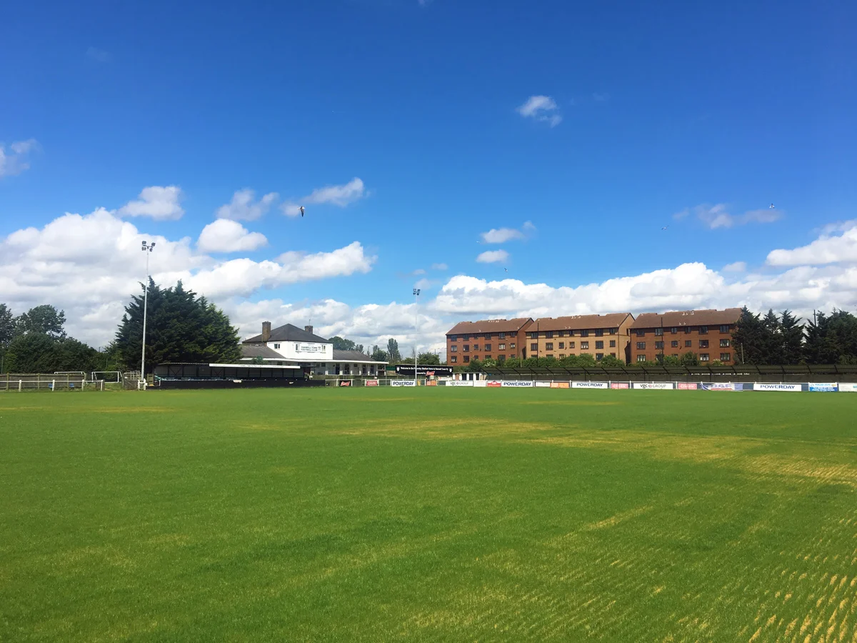 Pitch After Seeding