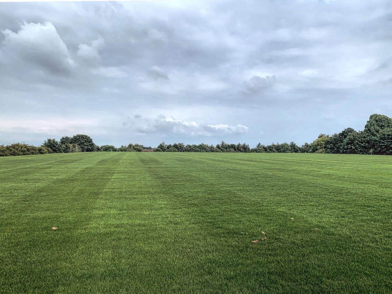 Pitch Plateau Progressing Nicely at Littlehampton