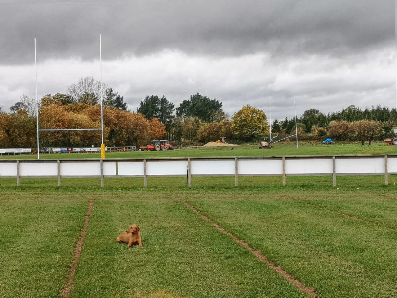 Rugby Pitch Drainage Project Begins at Exeter Athletic RFC