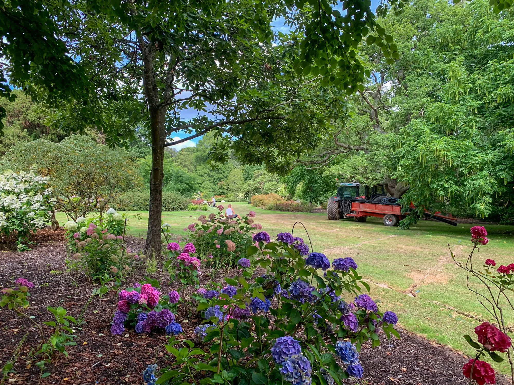 Turfdry Return to The Savill Garden to expand lawn drainage project