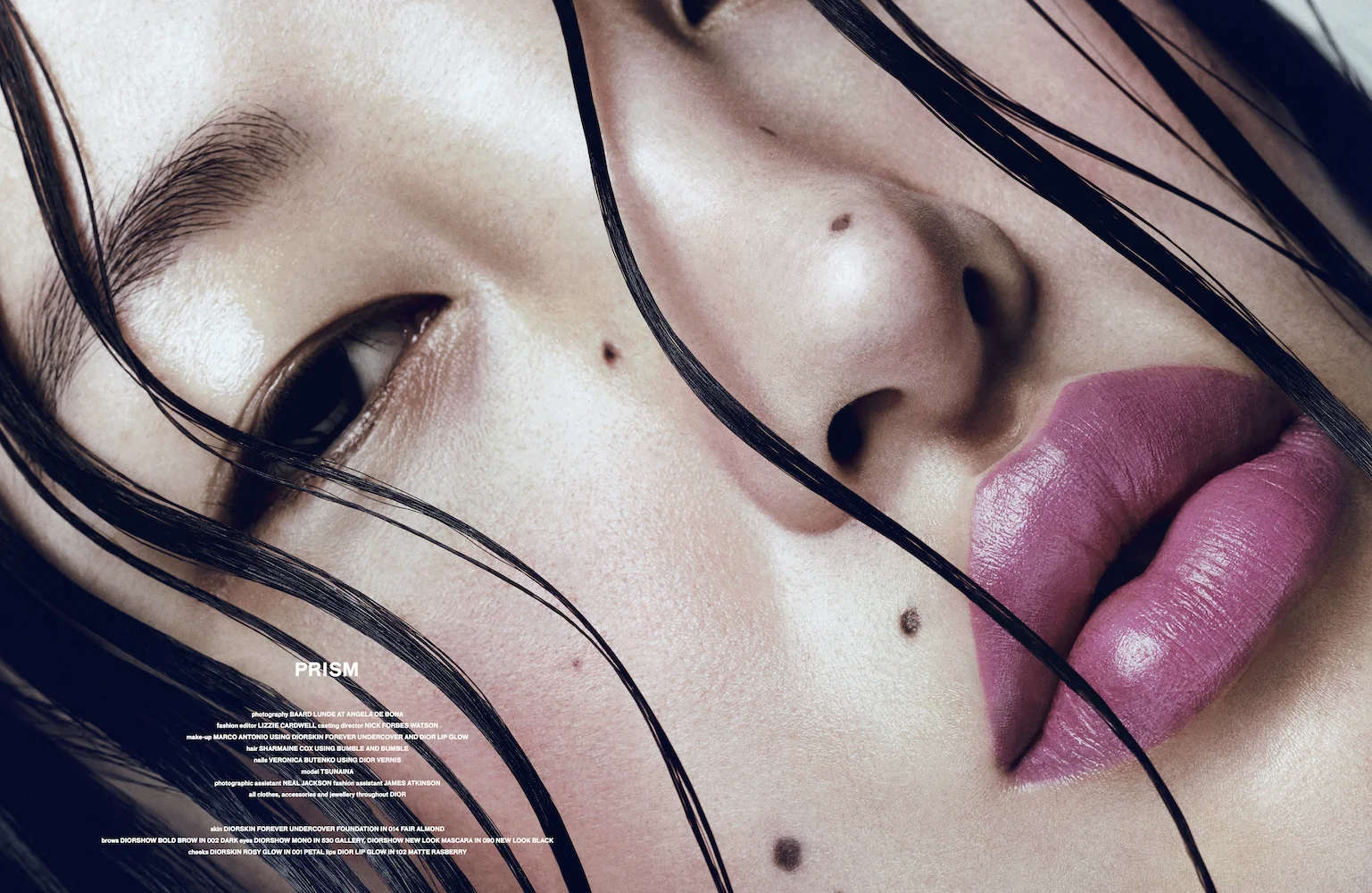 Pages for Hunger 14 Prism.jpg