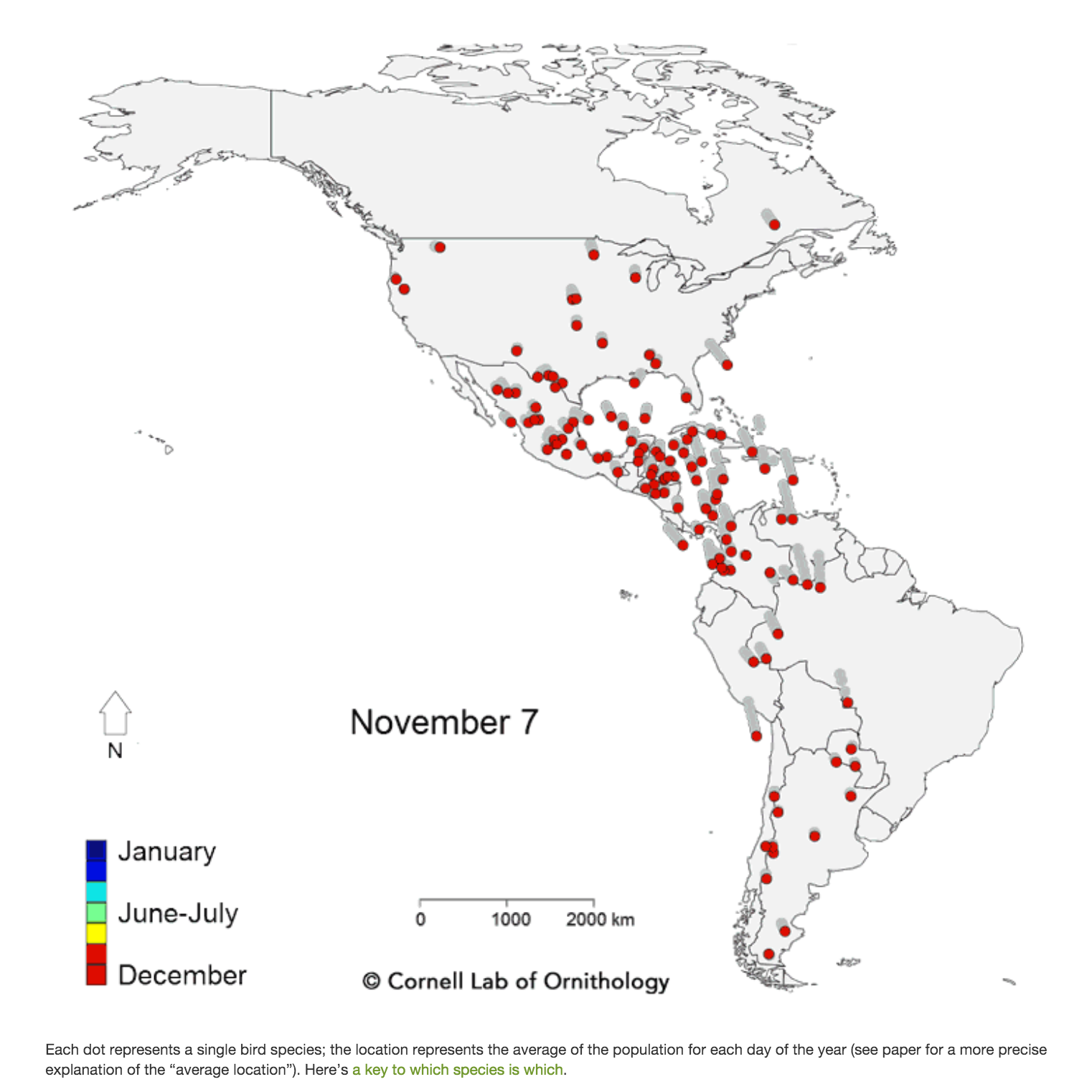 Cornell Lab of Ornithology