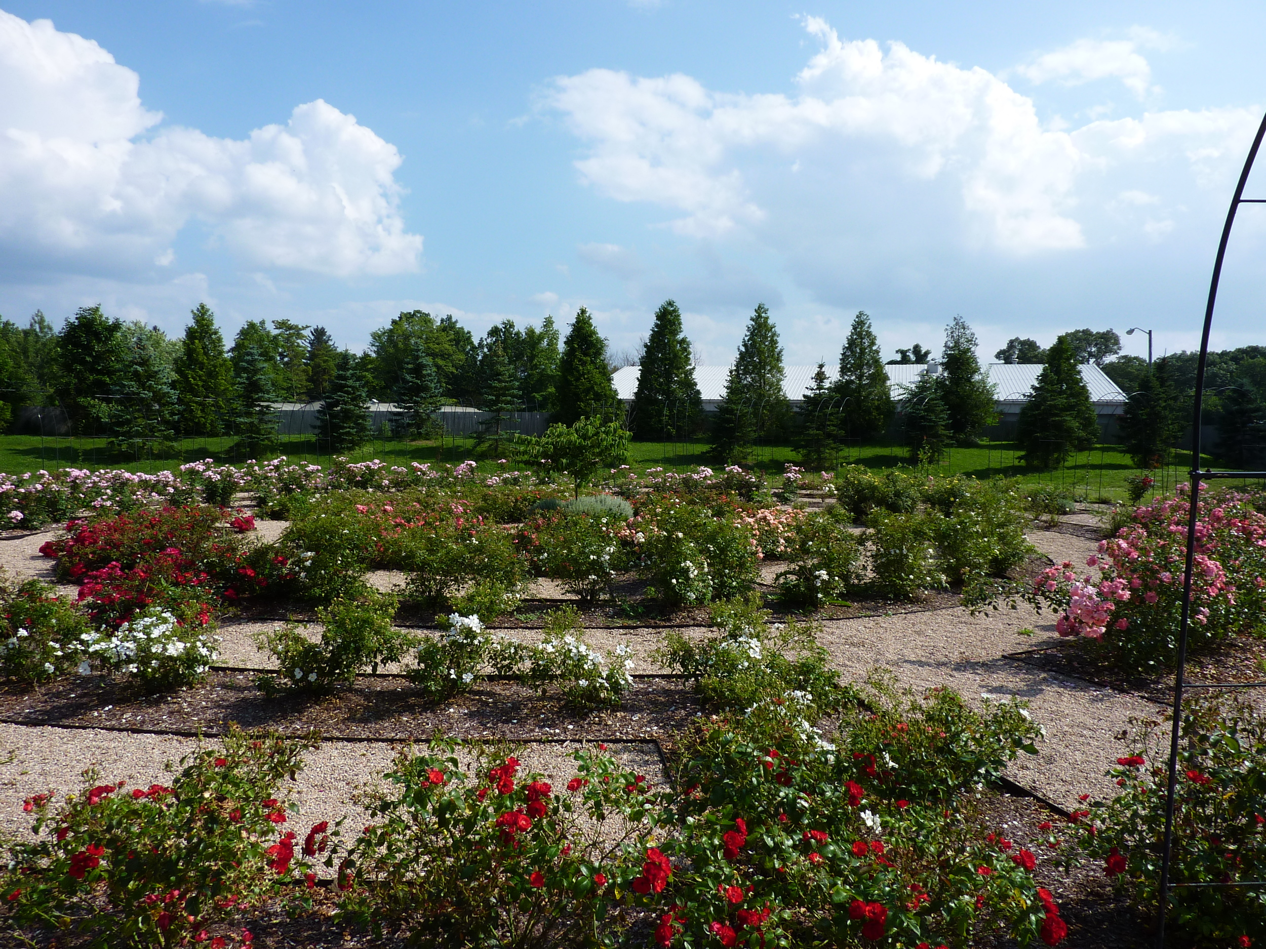 Roger Williams Park Botanical Center 7