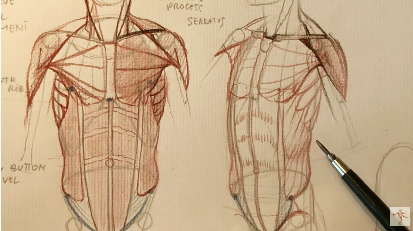 Human Anatomy Fundamentals: Basics of the Face | Envato Tuts+