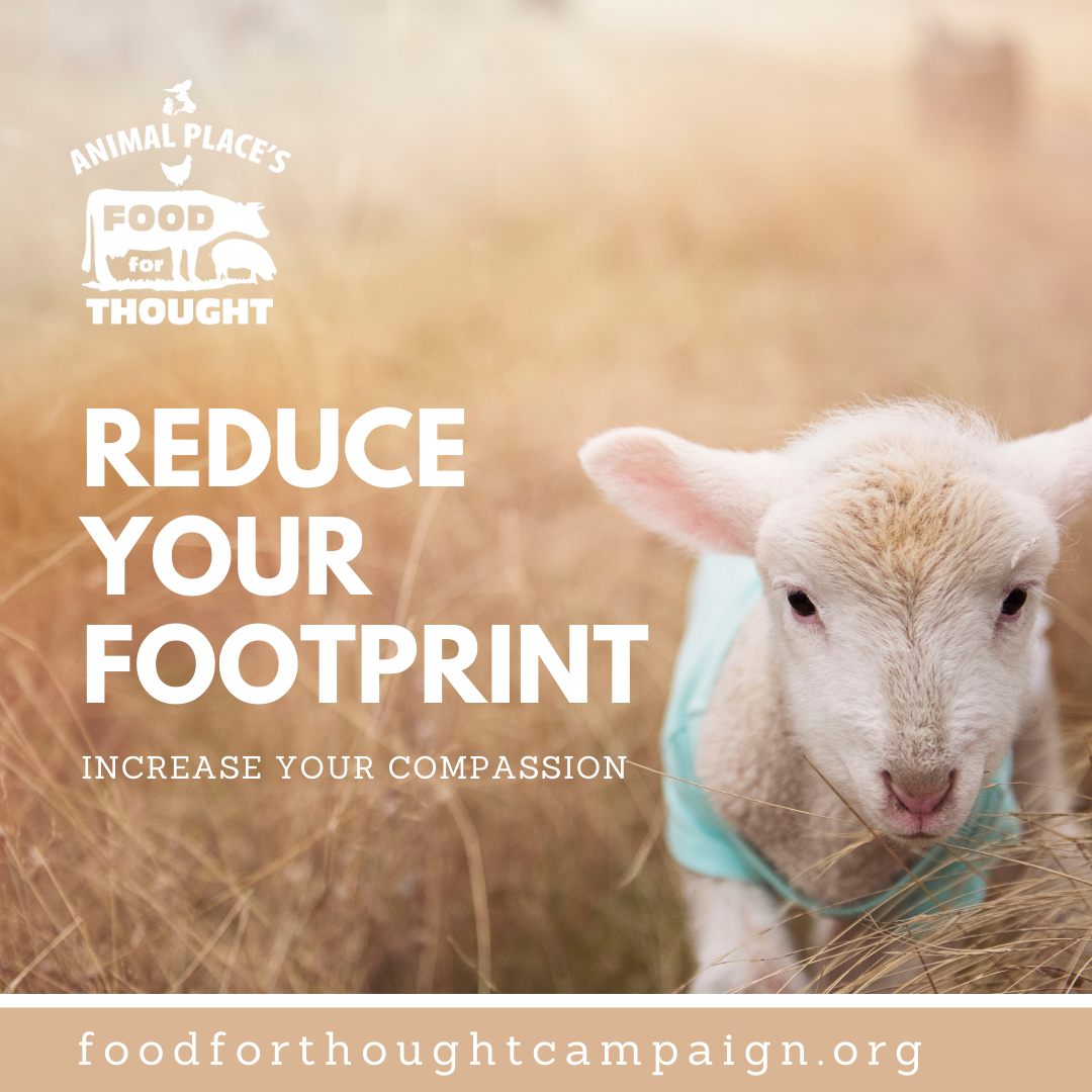 reduce,+your+footprint.png