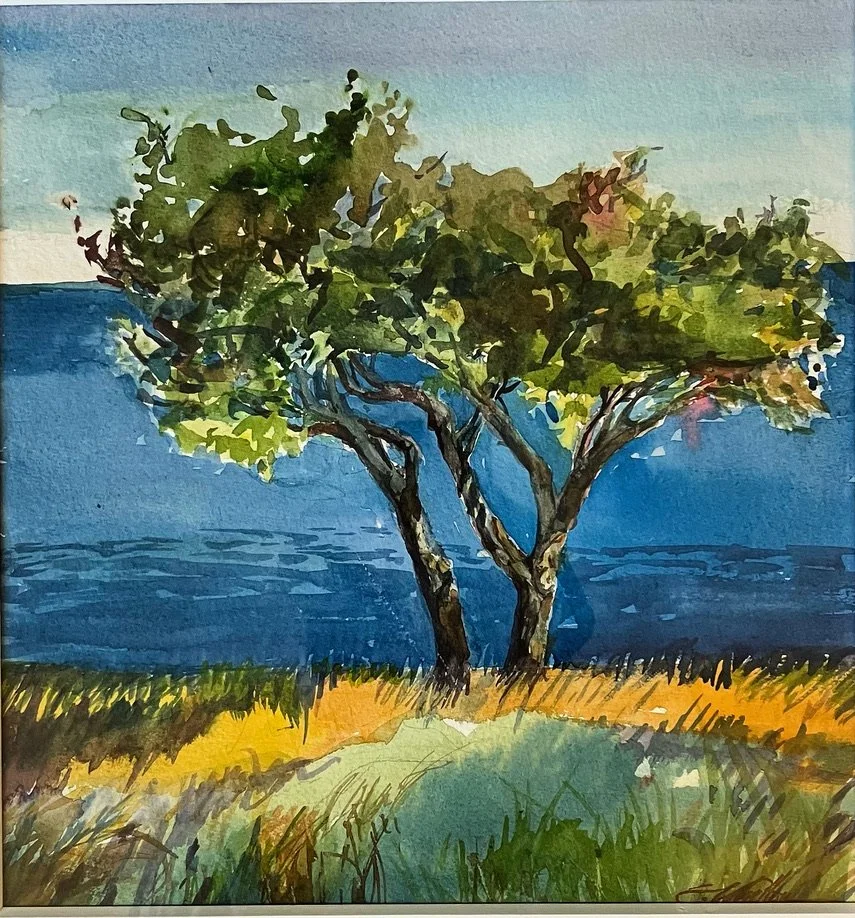 Land Meets Sea on the Summer Solstice, York ME