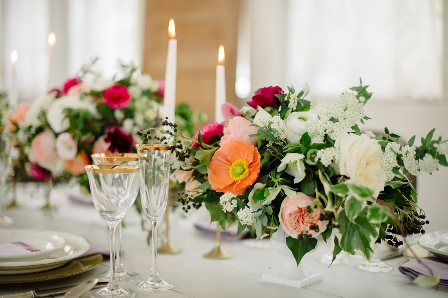 caroline talbot photography