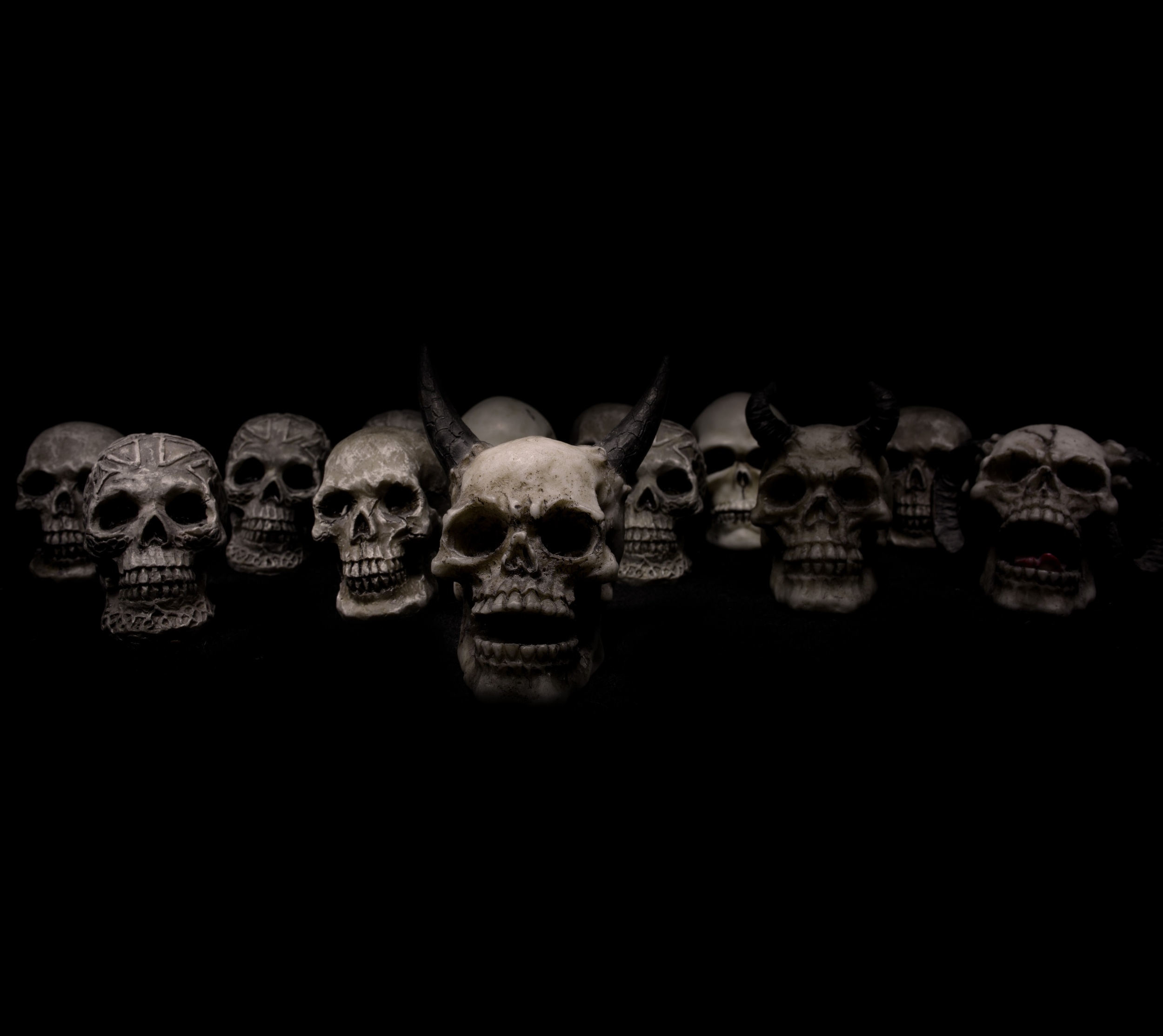 skulls-623532.jpg