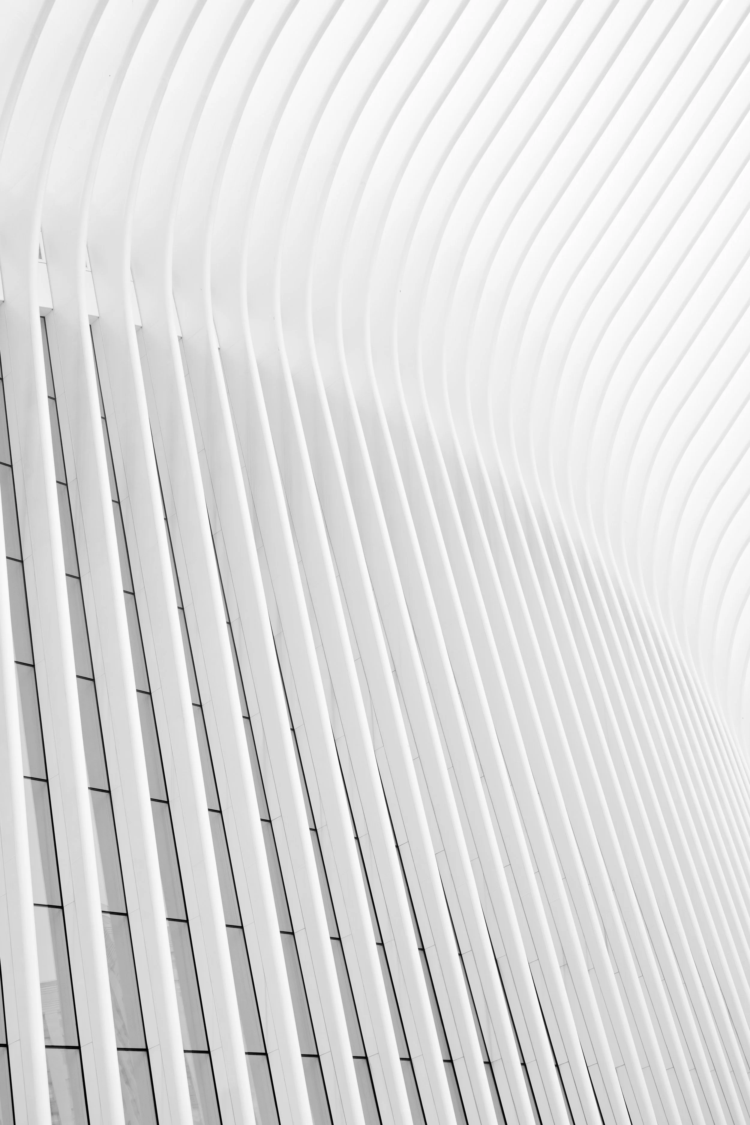 david-jorre-803805-unsplash.jpg