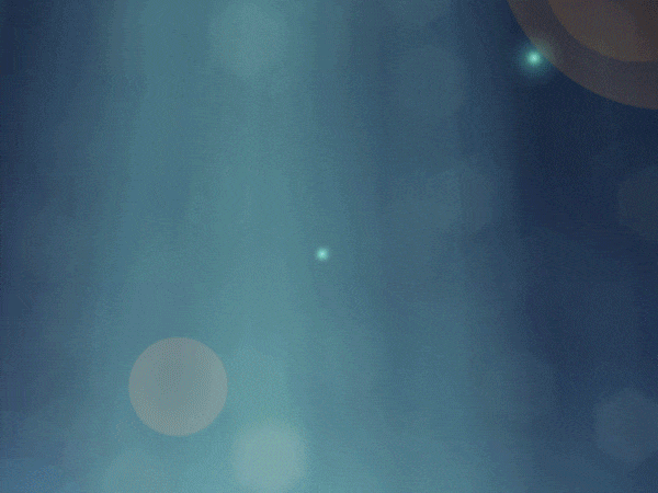 Contact (L).gif
