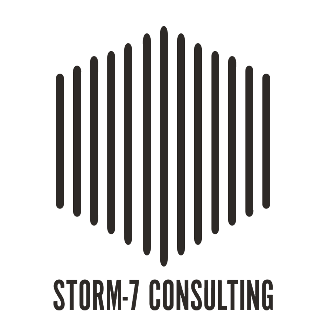 RODRIGO ZEPEDA (STORM-7 CONSULTING)