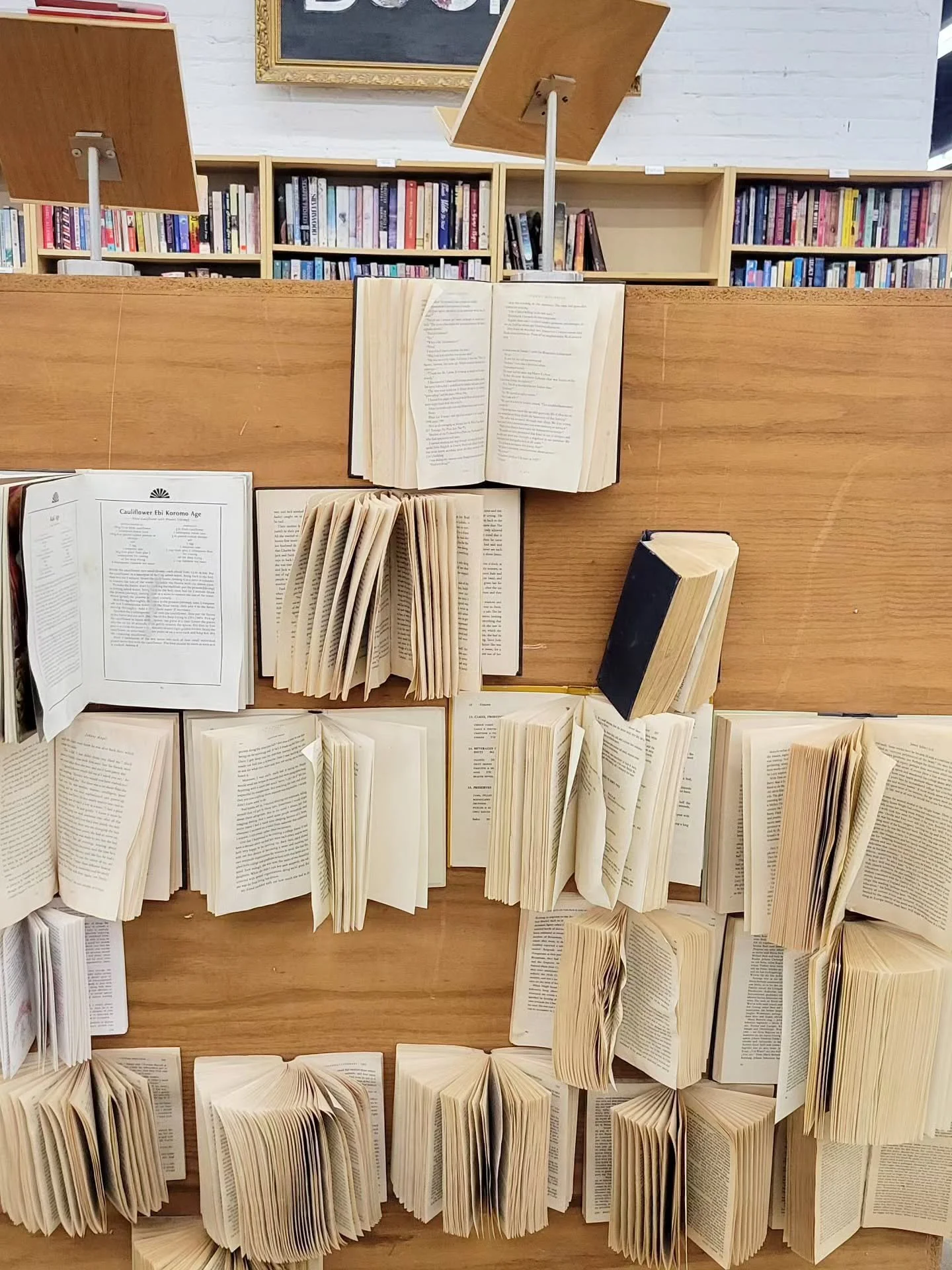 Of all that was, or might have been, or is to be.
The books just leafed through, whisper endlessly.
A girl in a library - Randall Jarrell - April 1951
Book-ish is a collection inspired by a girl who lives vicariously through the books and stories f