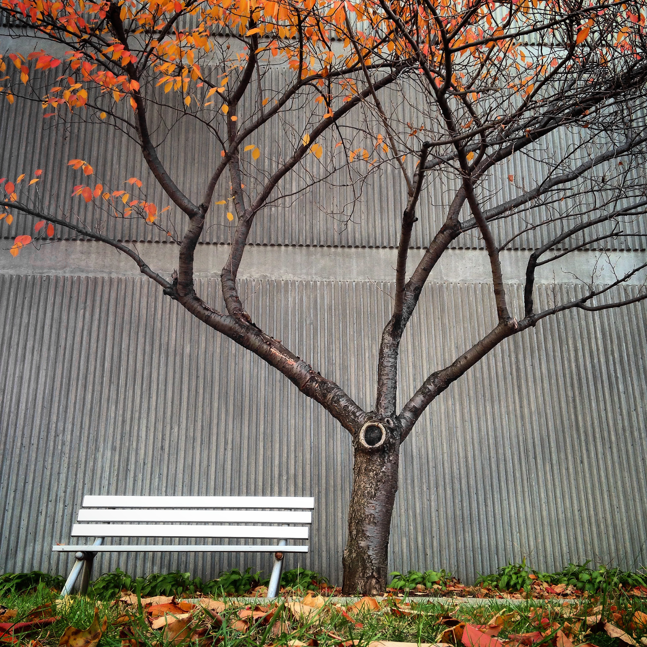 Leaning Bench-1.jpg