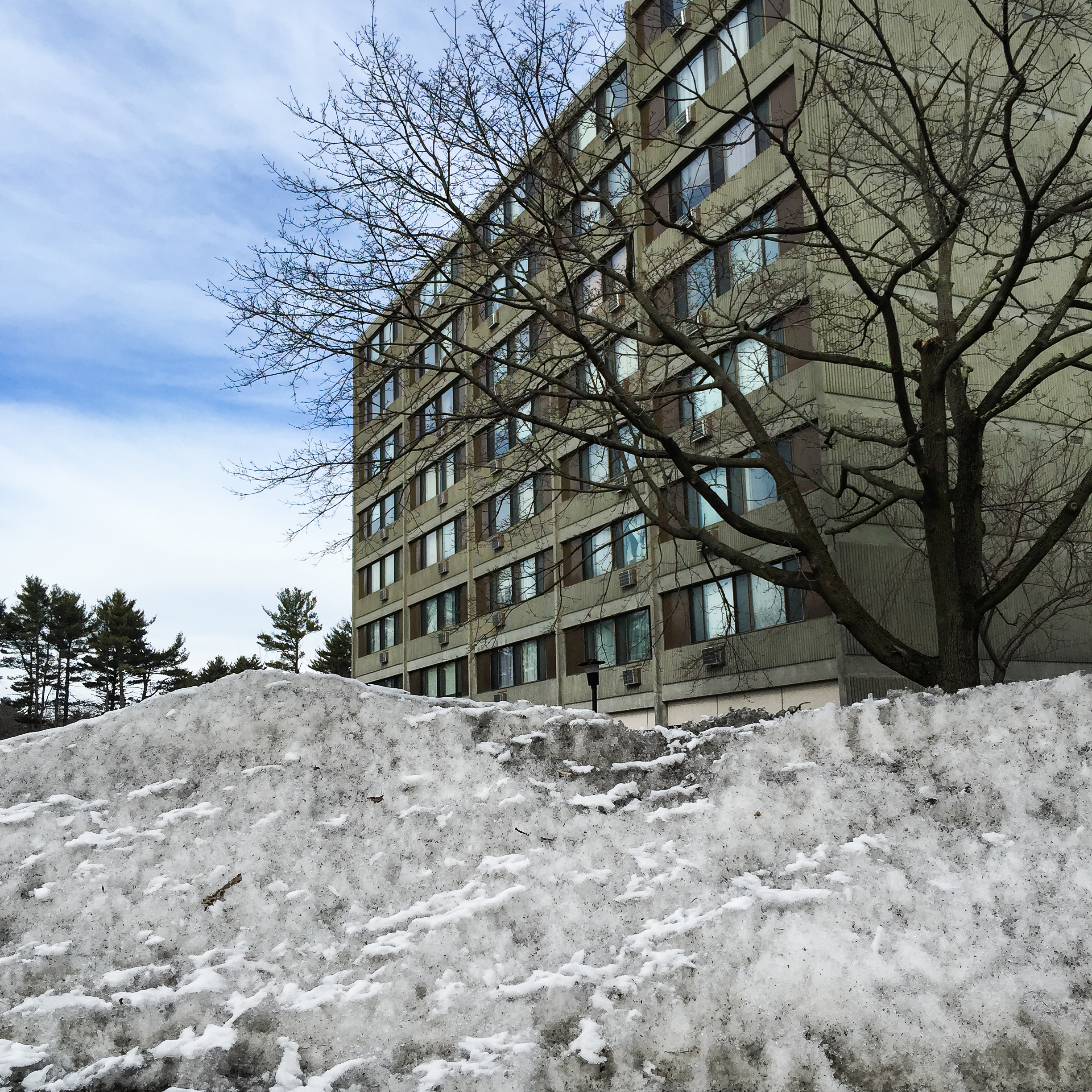 Snow Pile Hamden.jpg