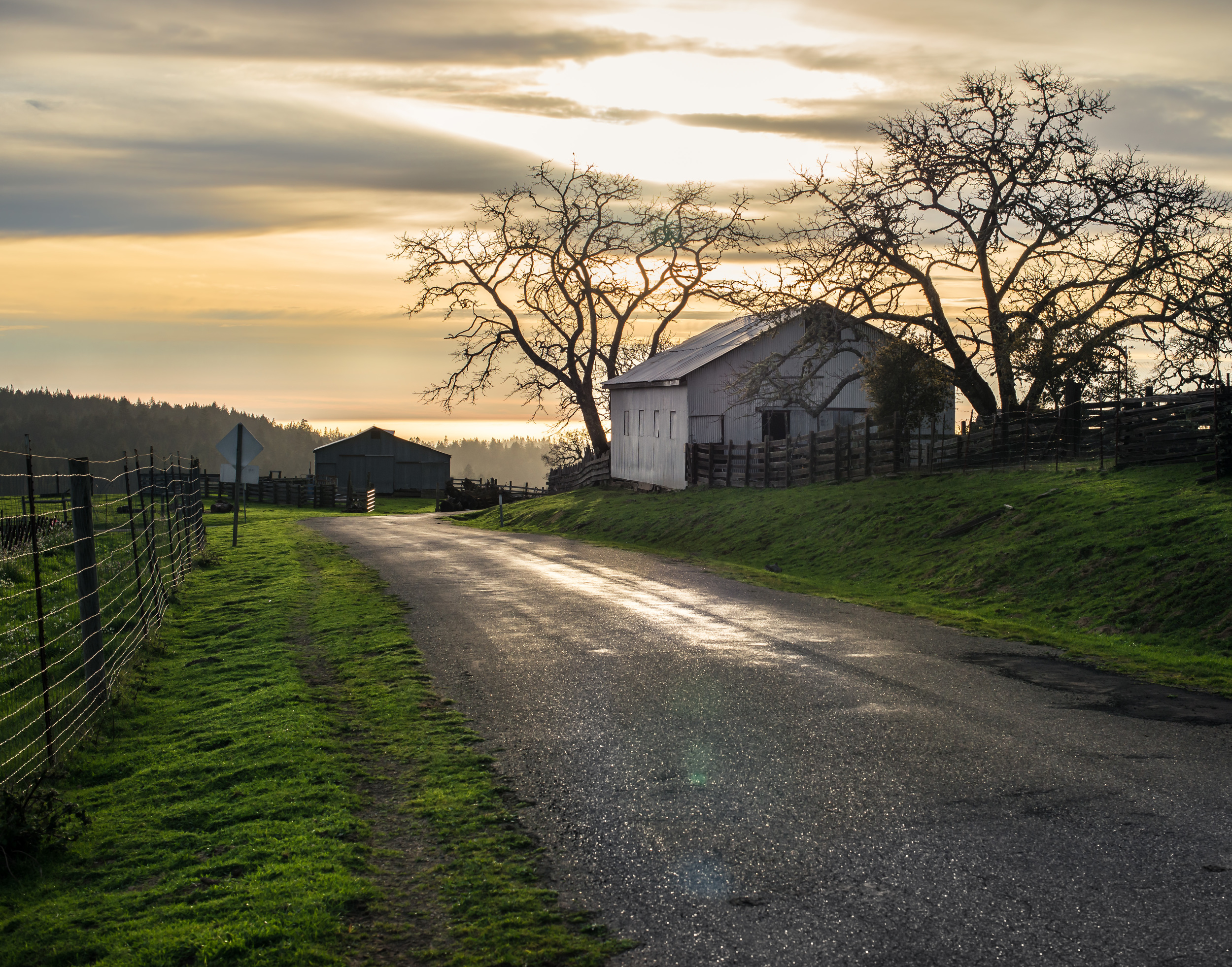 King Ridge Road Sunset.jpg