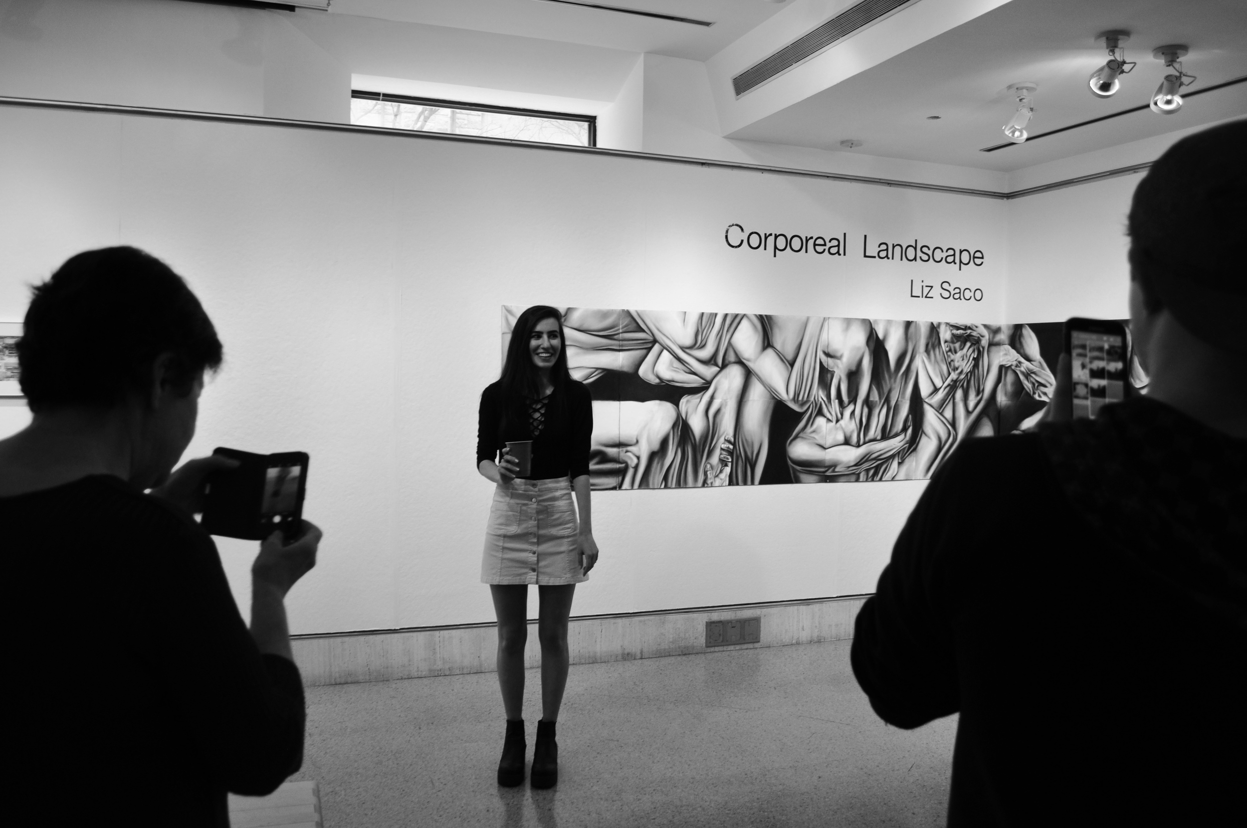  Displayed in the Lipani Gallery at NYC's Lincoln Center from December 2015 - February 2016 and the  Ildiko Butler Gallery  at Lincoln Center in May of 2016. 