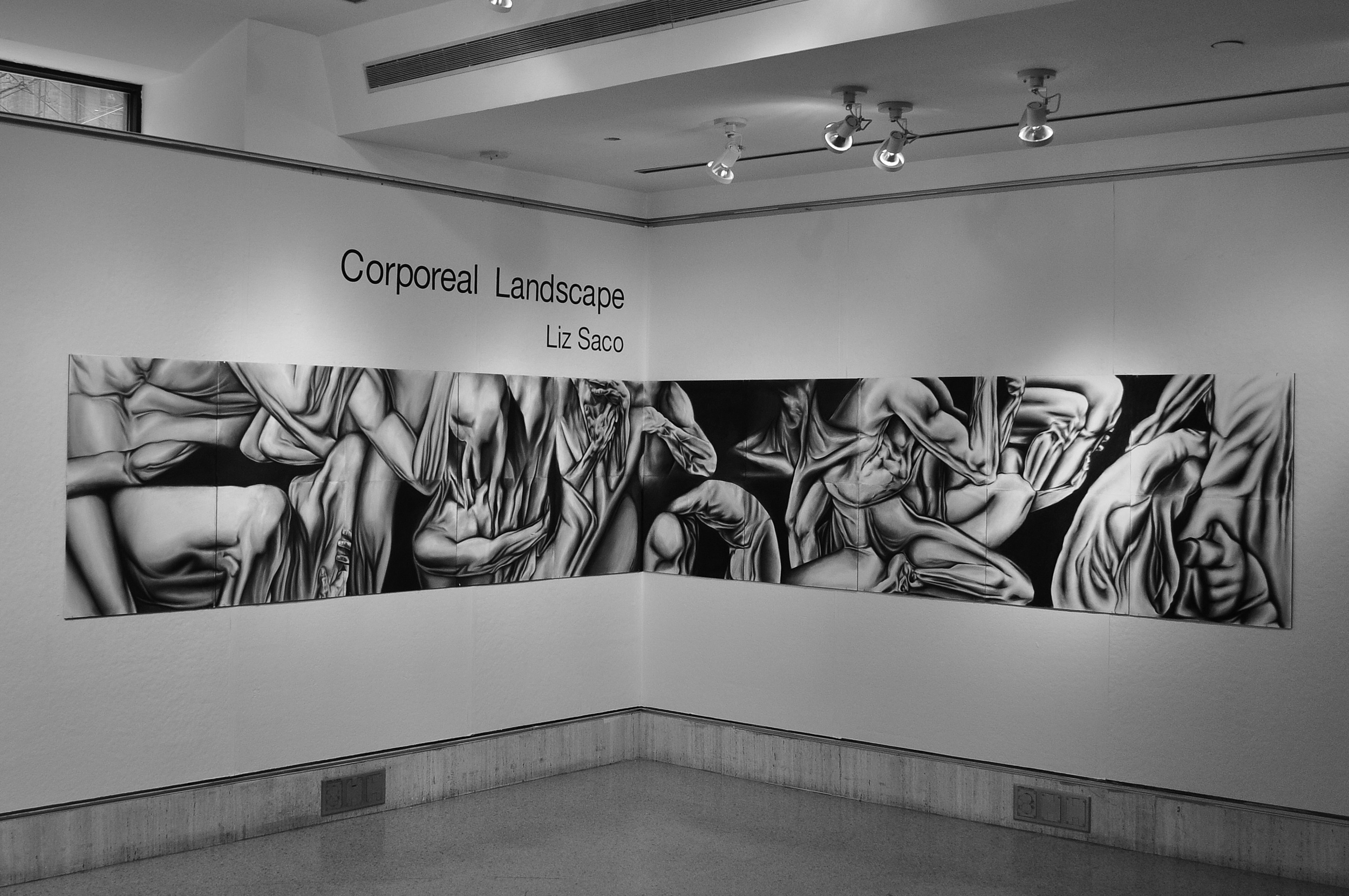Corporeal Landscape Exhibit