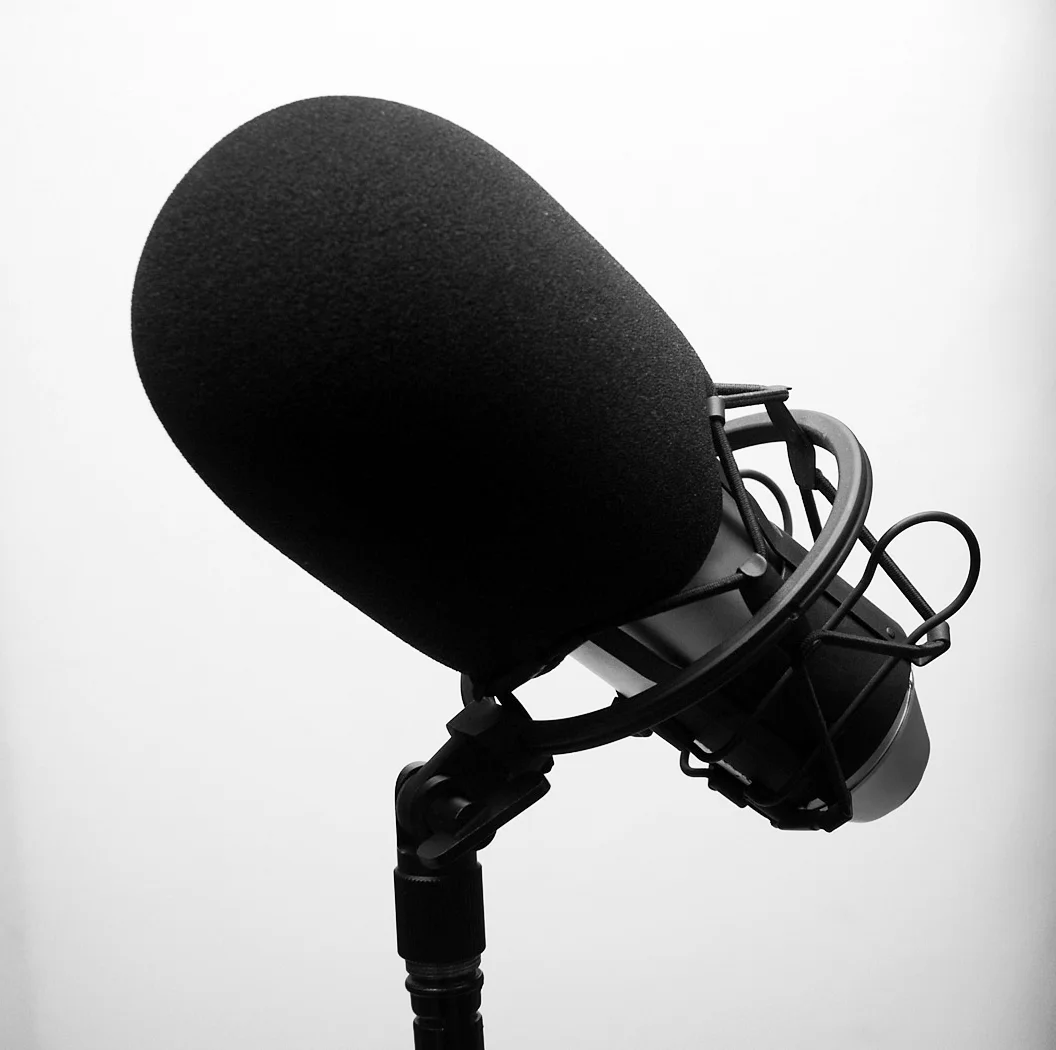 microphone-1562695.jpg
