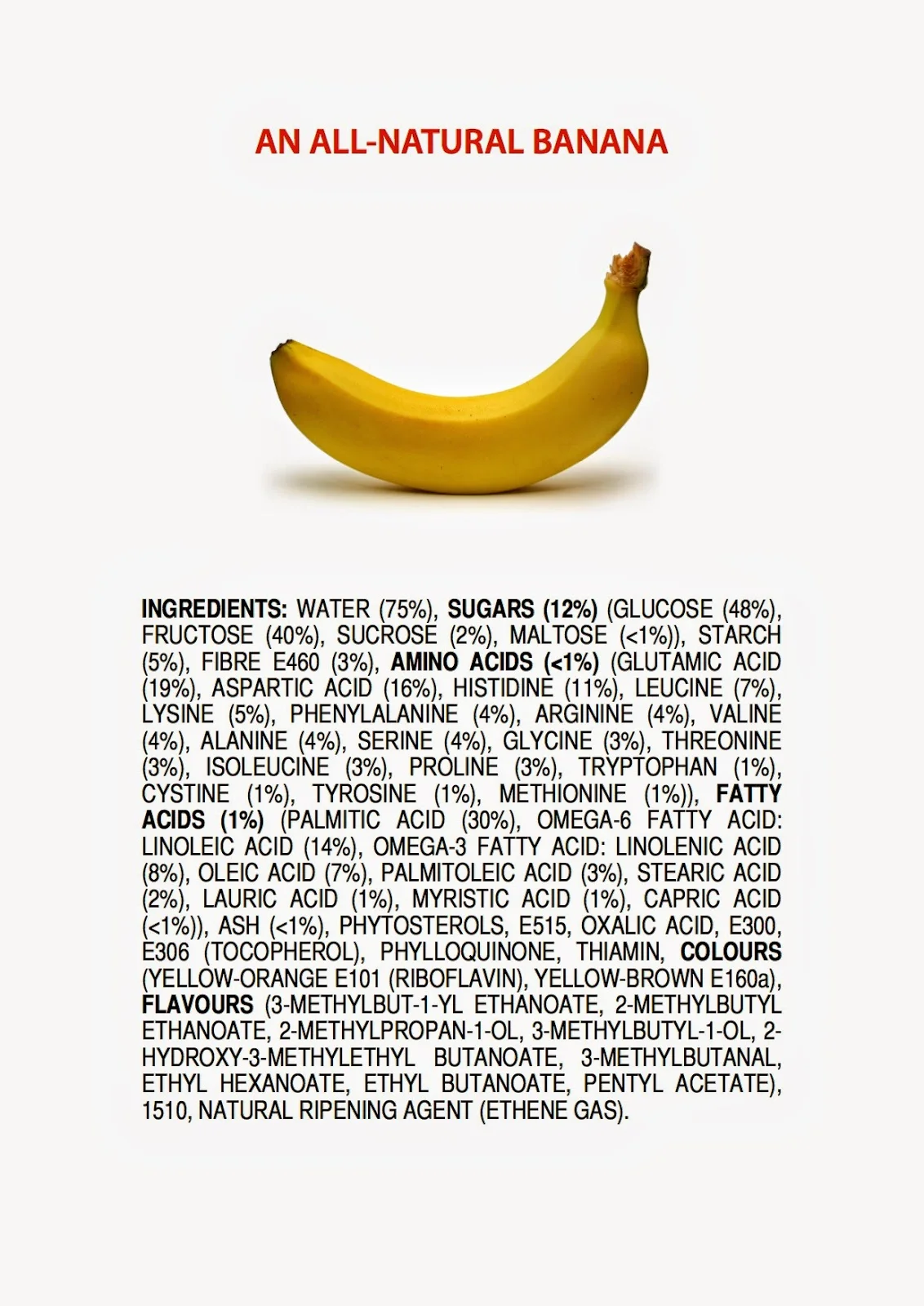 ingredients-of-a-banana-poster-4.jpeg