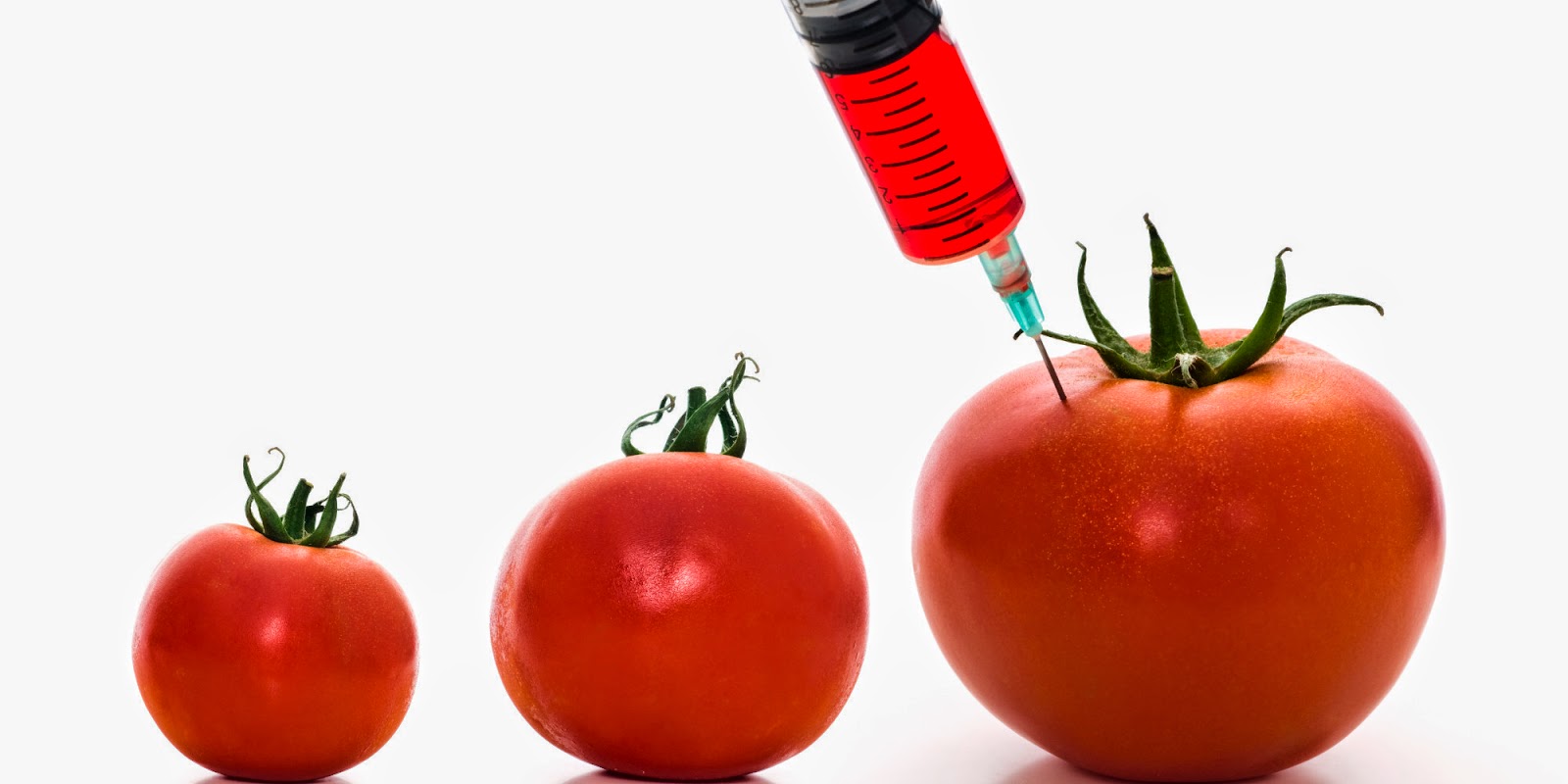 o-NEEDLE-TOMATOES-facebook.jpg