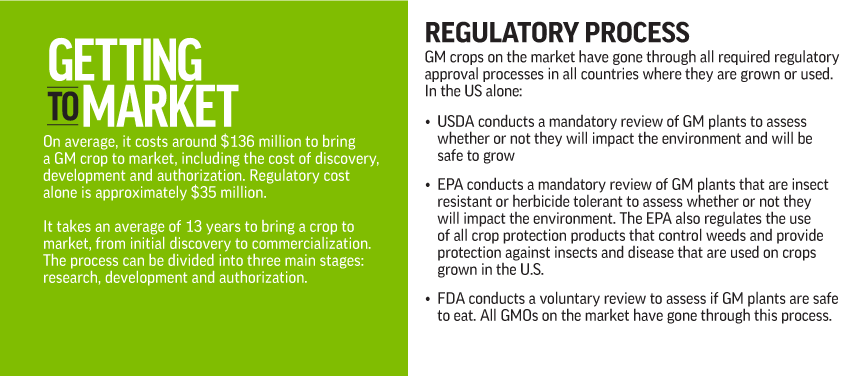 GMO_GettingtoMarket_v9.2.png