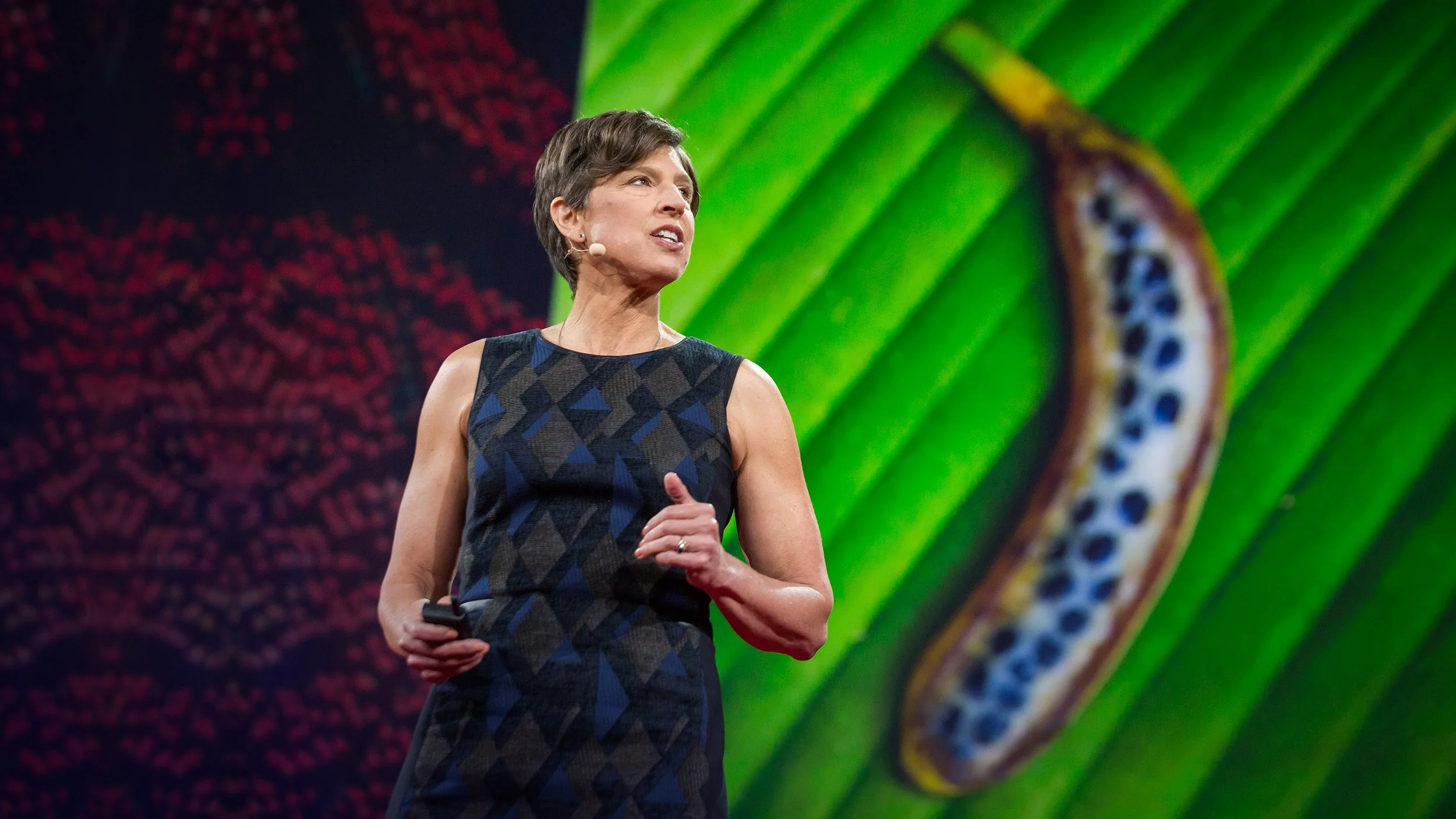 Pamela Ronald: The Case For Engineering Our Food