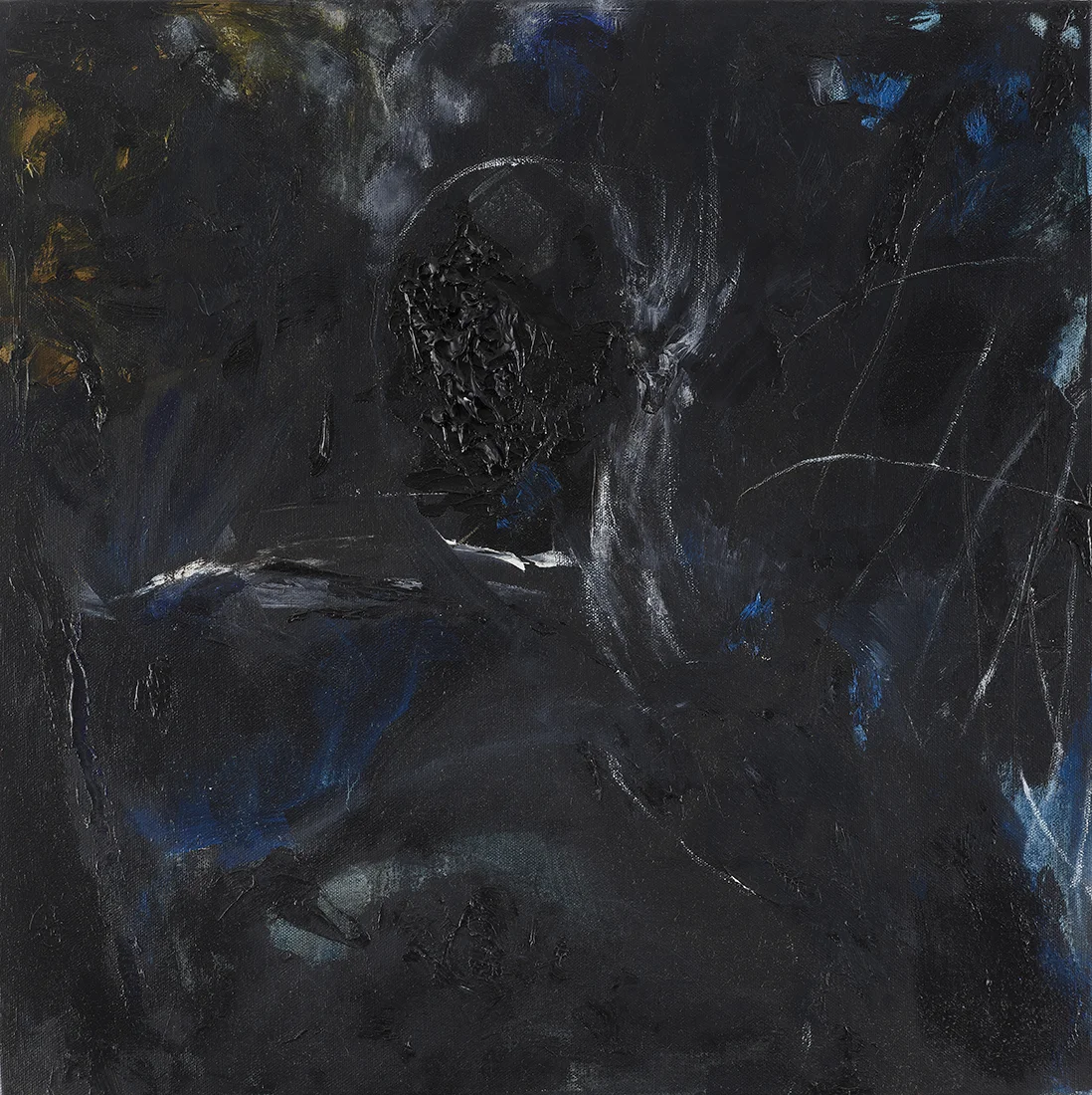 Galapagos memory _ the uncertainty of form 3 20" x 20" Oil on canvas 2015-2017
