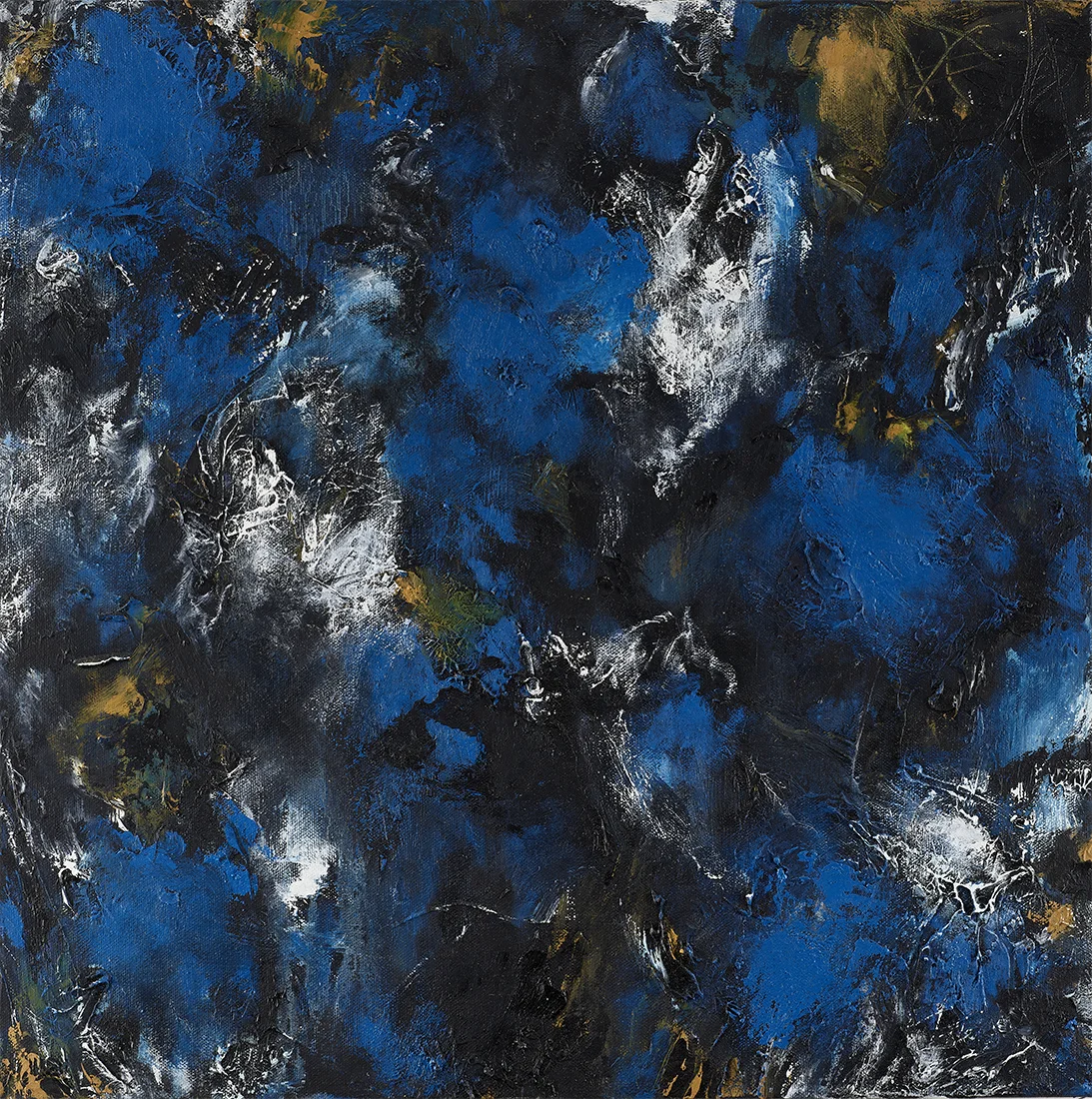 Galapagos memory _ the uncertainty of form 4 20" x 20" Oil on canvas 2015-2016