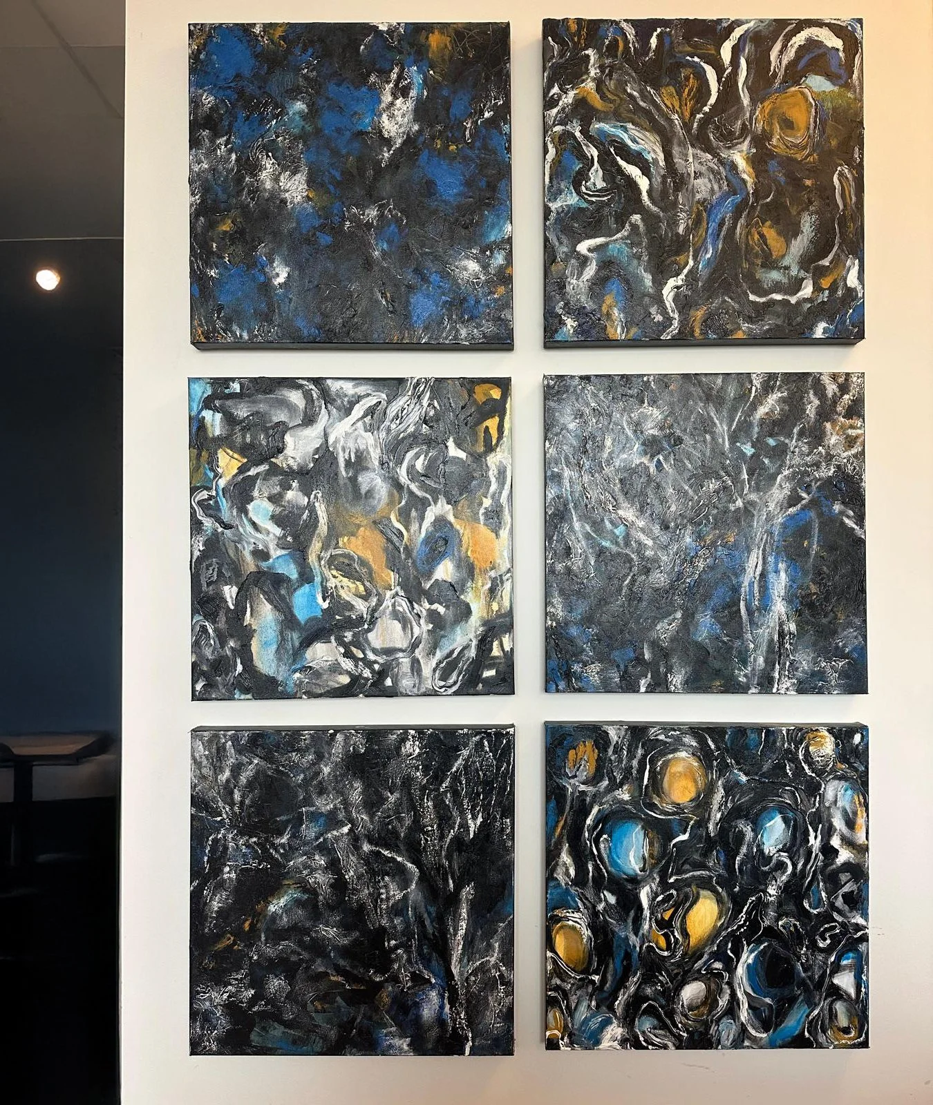 Canvas_Galapagos at Avi Katz and Raluca Dinu's NYC apartment.JPG