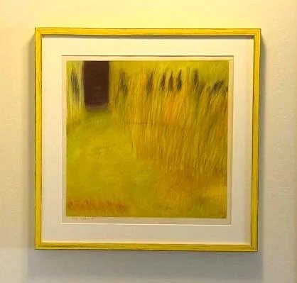 Travels in the South of France #12 at collector's.JPG