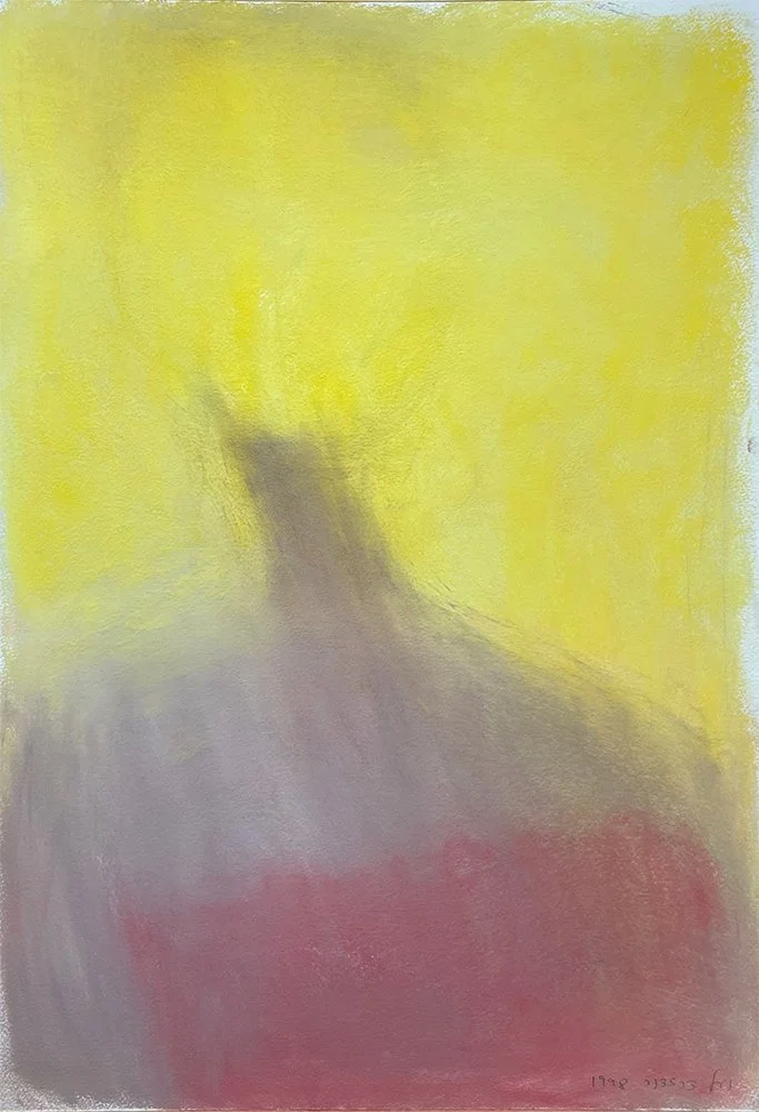 Figure of light_1998 26x17.jpg