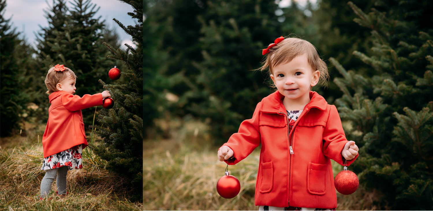 Jessica Fenfert Baltimore Maryland Family Photographer Gaver Tree Farm Minis 2016