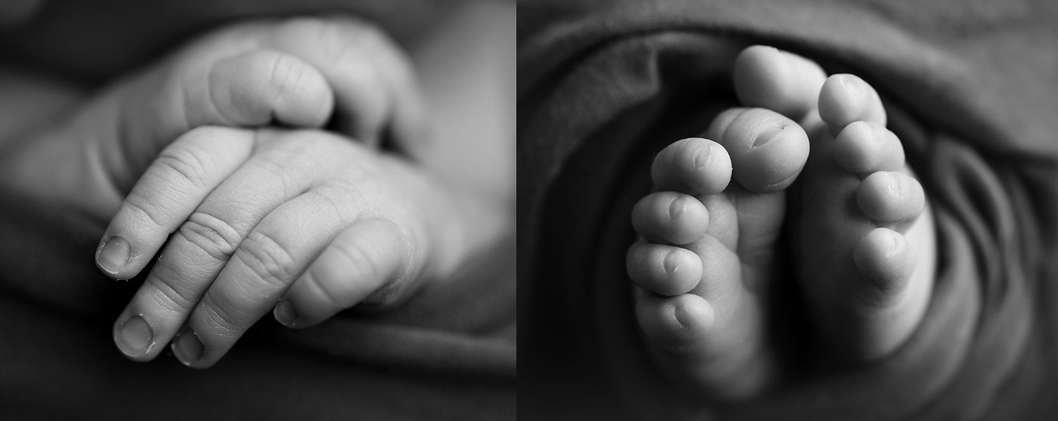Baltimore Howard County Columbia Ellicott City Catonsville Maryland Newborn Baby Photographer baby toes